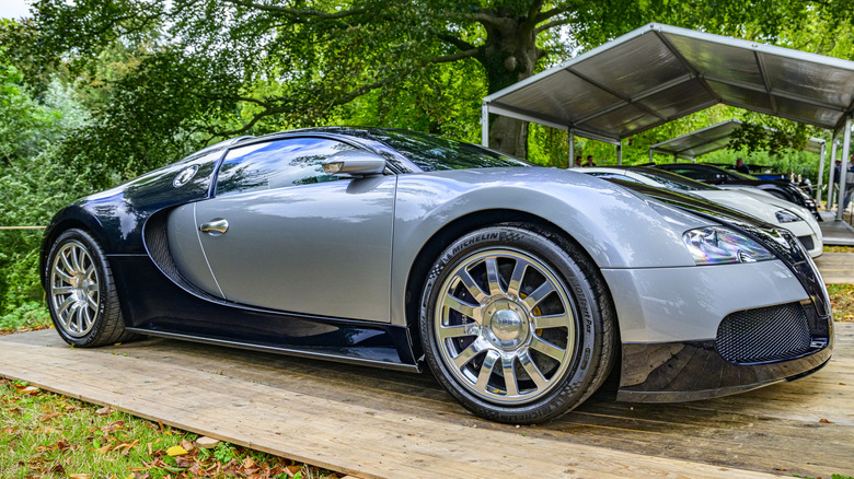 Bugatti Veyron parked in front of trees
