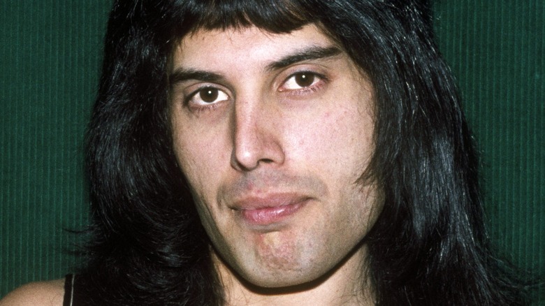 Freddie Mercury posing