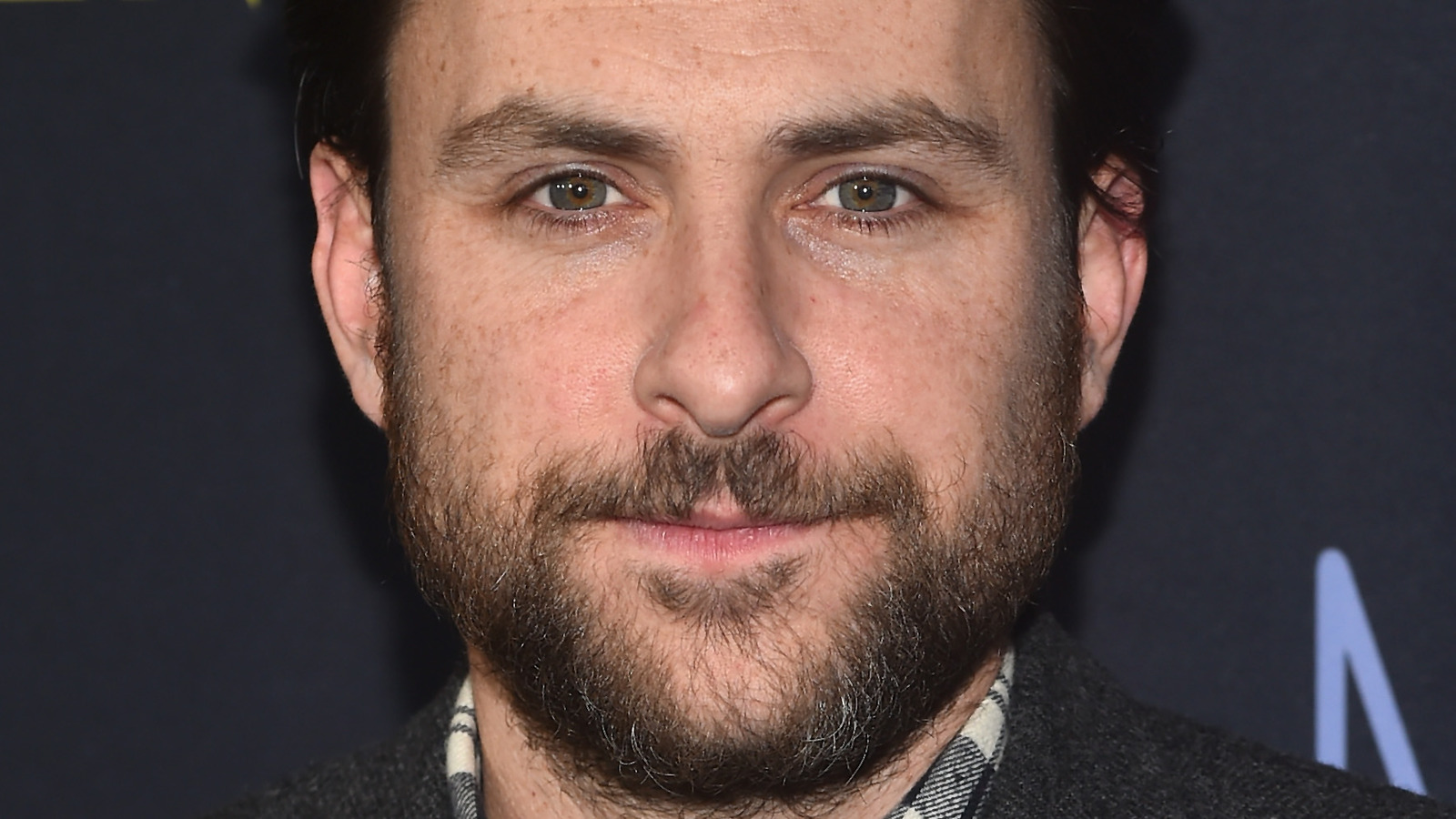 Meet Charlie Day's Stunning Wife — He Won the Chance to Talk to Her by  Arm-Wrestling a Friend