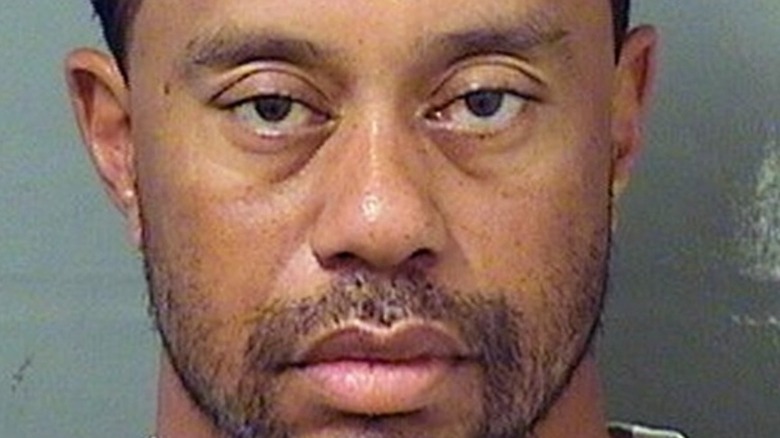 Tiger Woods mugshot