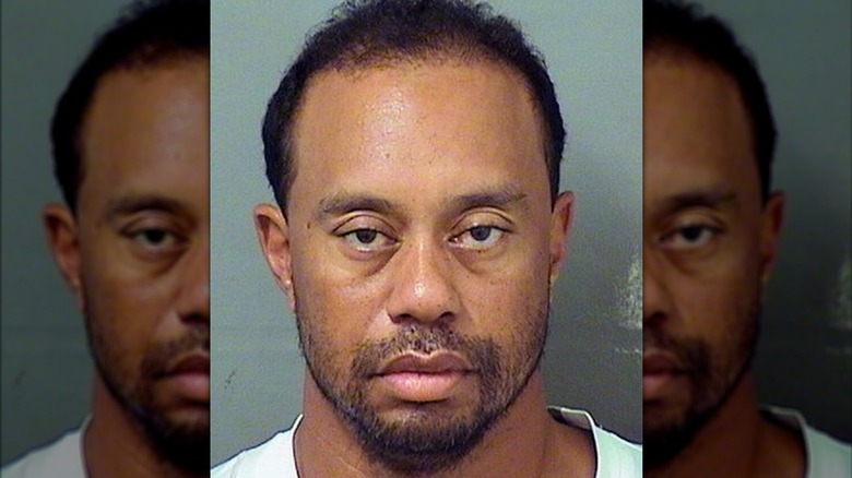 Tiger Woods' 2017 mugshot.
