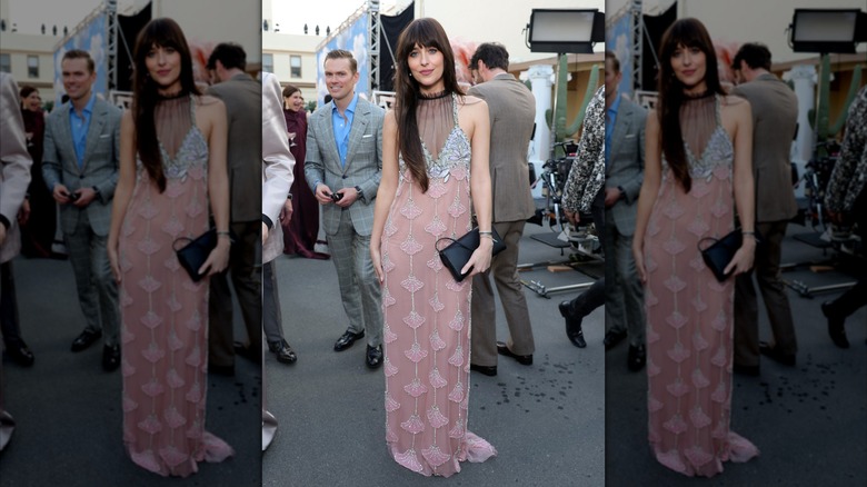 Dakota Johnson posing in a Valentino dress with a sheer neckline