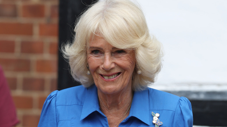 Queen Camilla smiling in a sky blue outfit