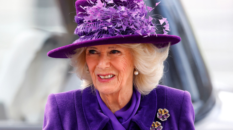 Camilla wearing purple on Commonwealth Day