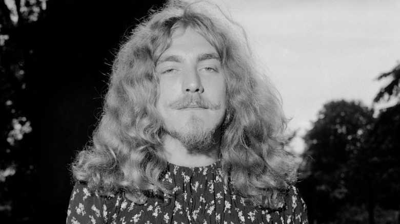 Robert Plant posing with beard