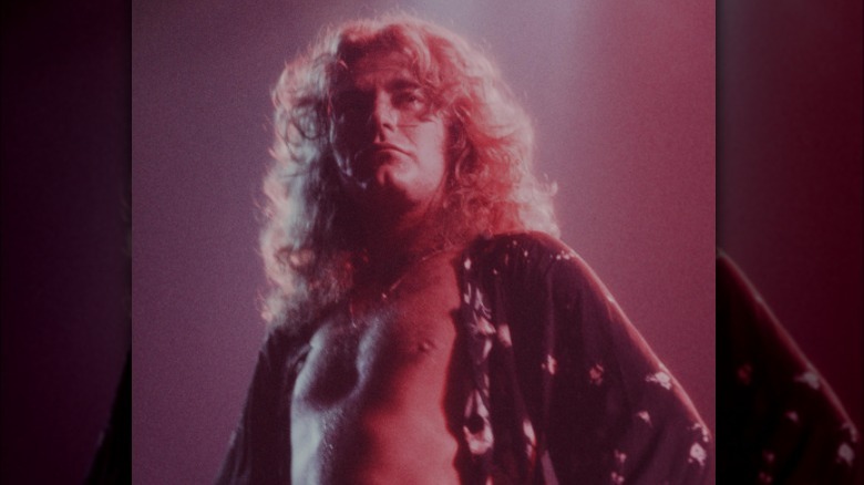 Robert Plant posing on stage