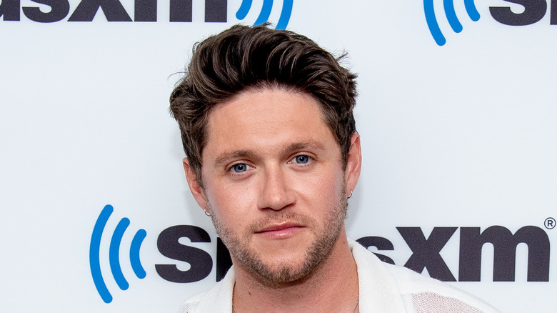 Niall Horan posing for a photo