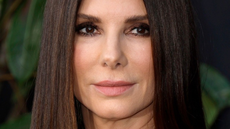 A Deep Dive Into Sandra Bullock's Life And Career