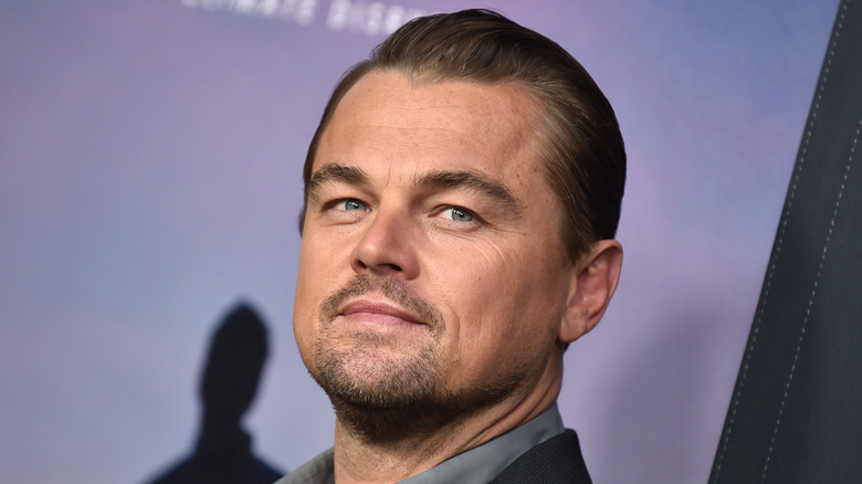 Leonardo DiCaprio brushed back hair