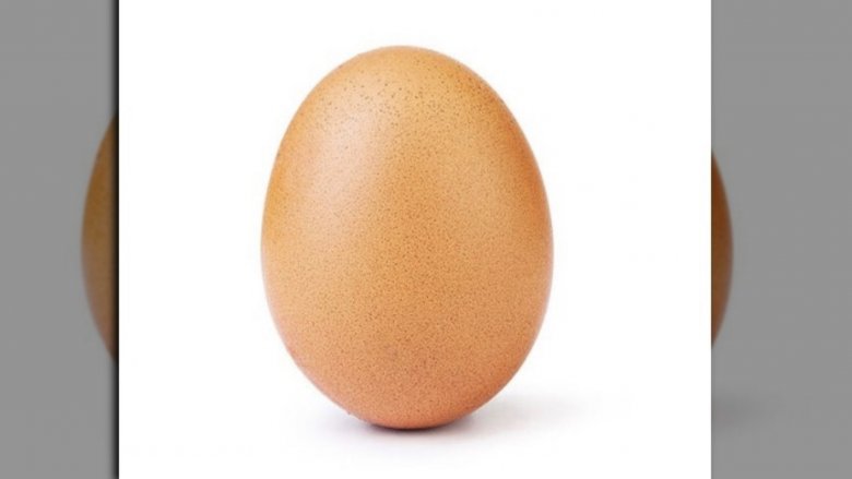 World Record Egg