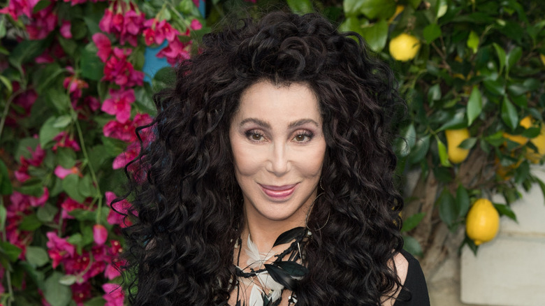 Cher in 2018