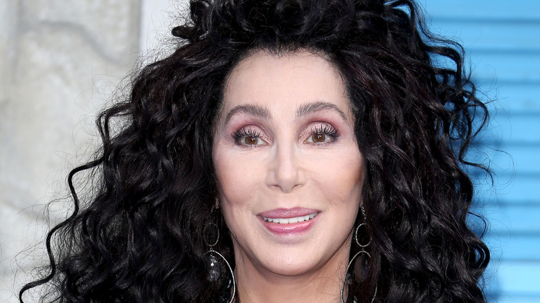 portrait of Cher