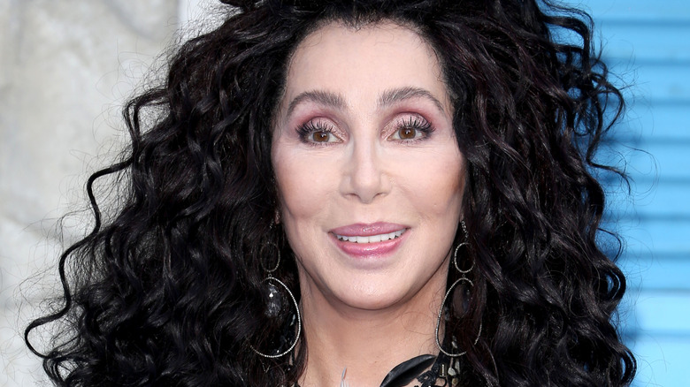 portrait of Cher