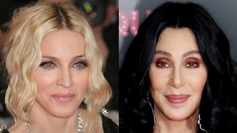 Madonna smirking (left), Cher smirking (right)