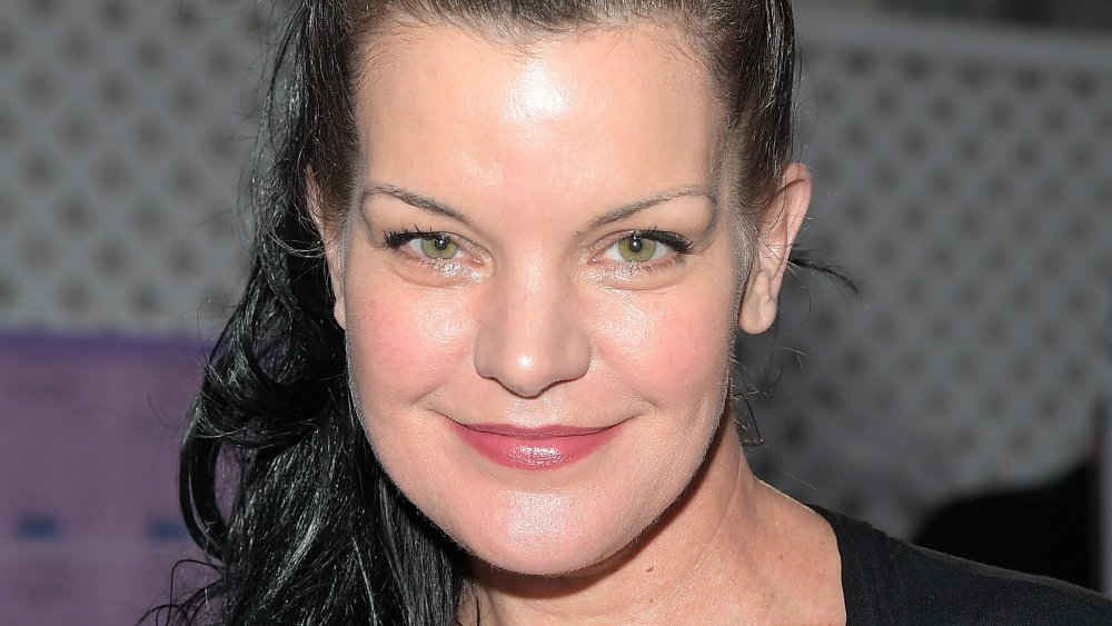 Pauley Perrette