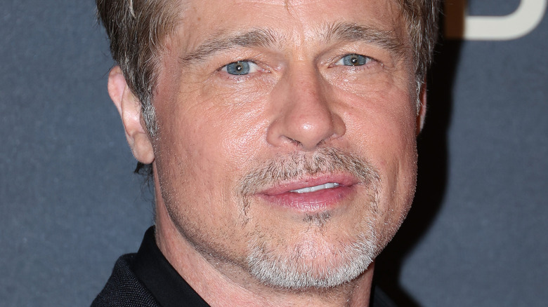Brad Pitt beard