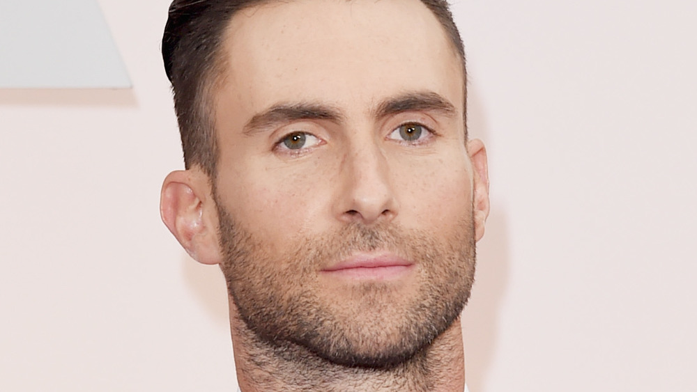 Adam Levine posing on the red carpet