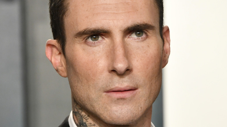 Adam Levine posing 