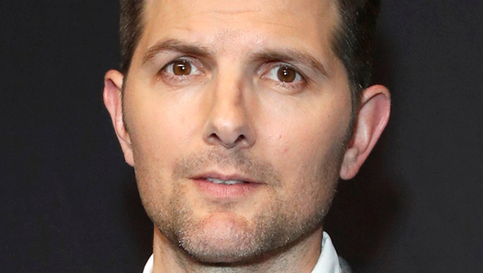 Adam Scott: Details For Every Fan Of The Actor