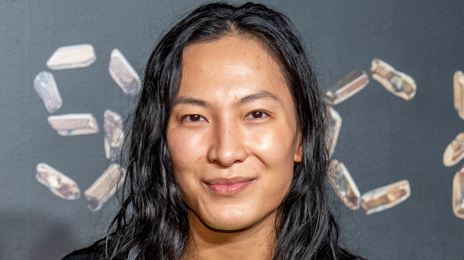Alexander Wang S Net Worth Is Higher Than You Think