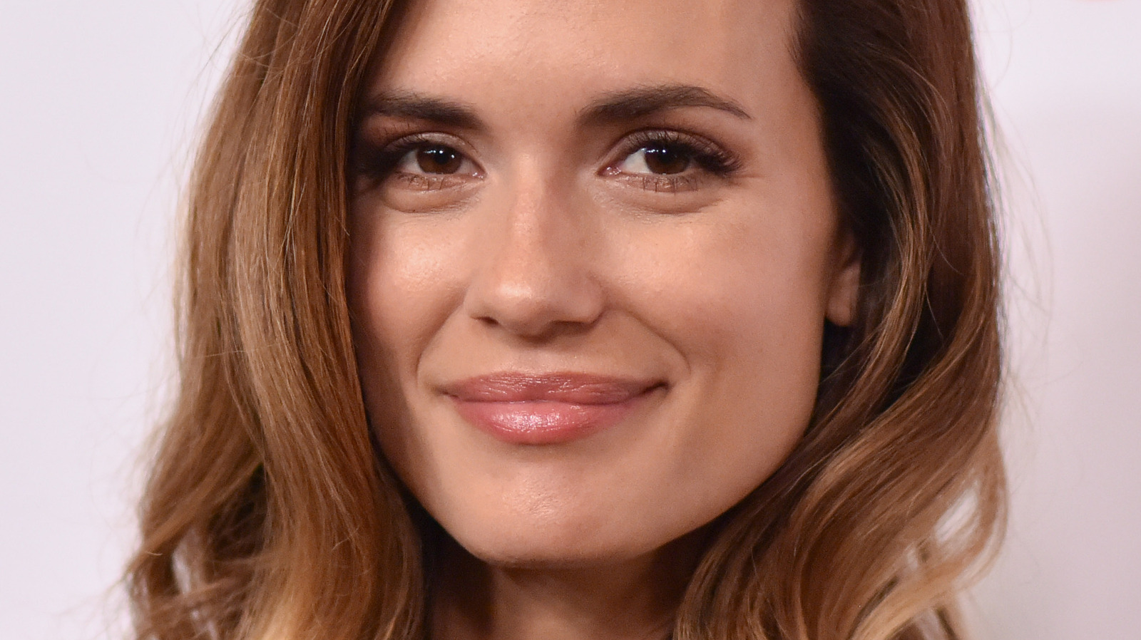 All The Hallmark Movies Torrey DeVitto Has Starred In