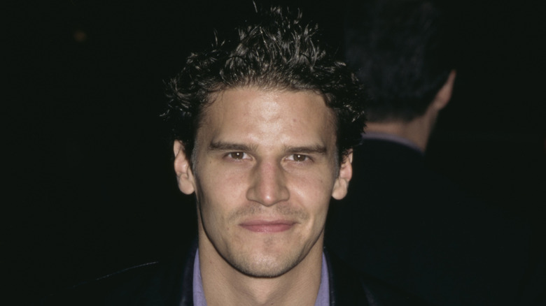 David Boreanaz at "The House of Yes" Hollywood Premiere