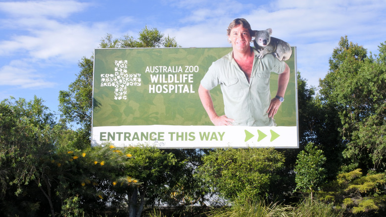 Australia Zoo Wildlife Hospital