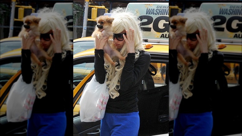 Amanda Bynes with blonde hair