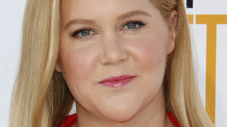 Amy Schumer poses in a red dress