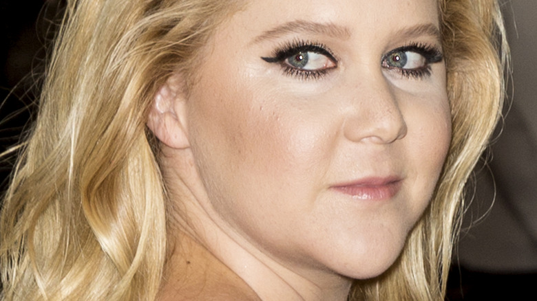 Amy Schumer at the 2016 Age of Technology Costume Institute Gala 