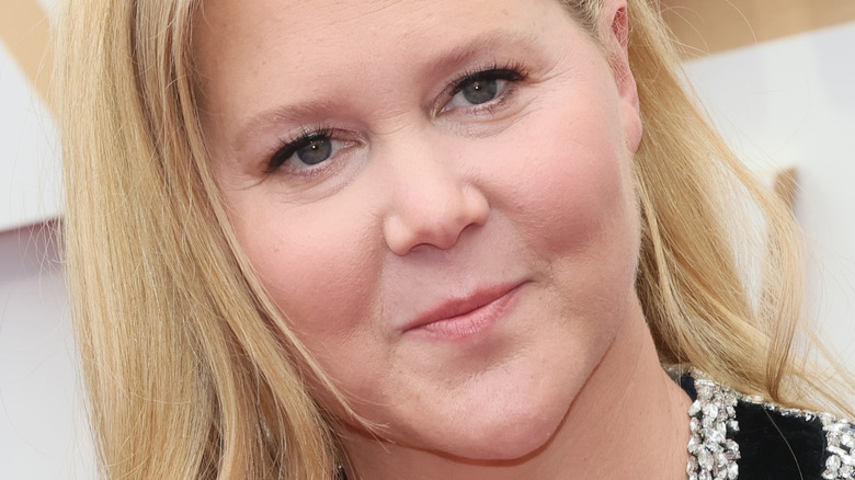 Amy Schumer smirking