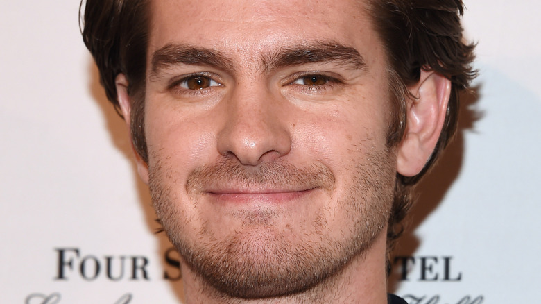 Andrew Garfield smirks on the red carpet