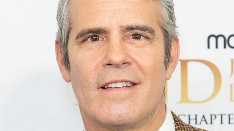 Andy Cohen posing