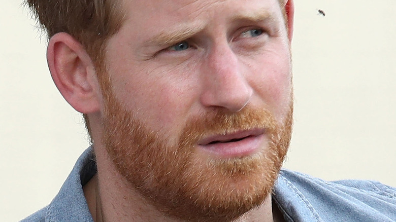 Prince Harry beard