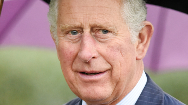 King Charles smiles in 2008