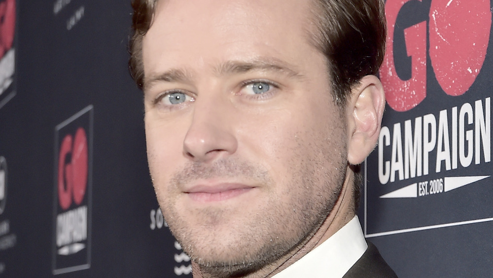 Armie Hammer posing on the red carpet