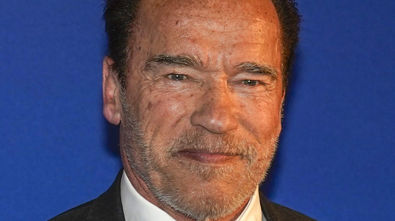 Arnold Schwarzenegger at a climate summit