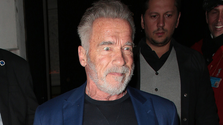 Arnold Schwarzenegger with gray hair