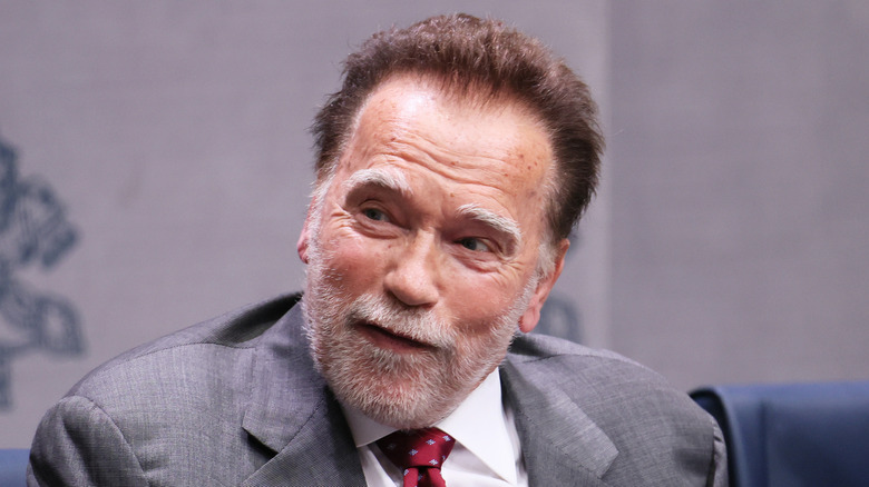 Arnold Schwarzenegger at the Vatican