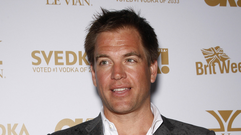 Michael Weatherly on the red carpet