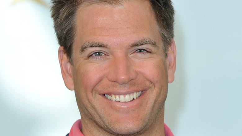 Michael Weatherly pastes big smile