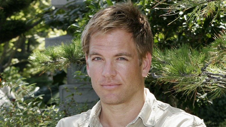 Young Michael Weatherly's hair brushed forward 