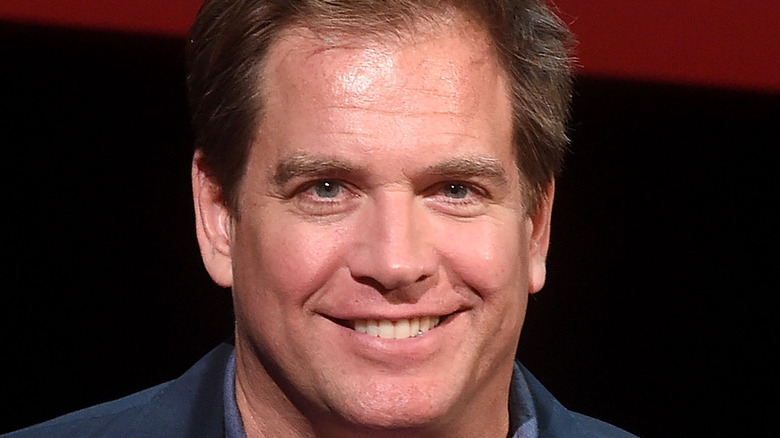 Michael Weatherly smiles