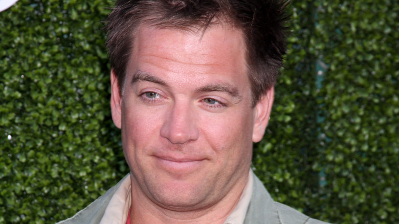 Michael Weatherly poses in green background