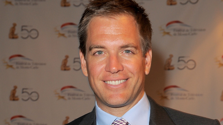 Michael Weatherly is all smiles