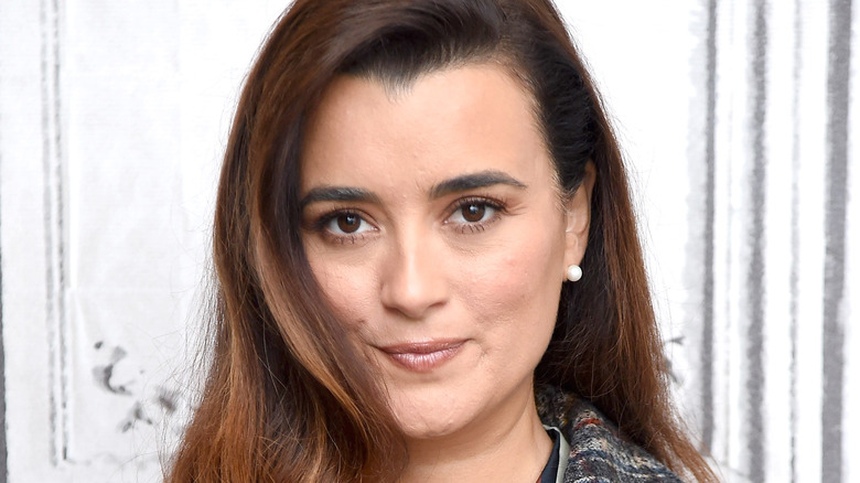 Cote de Pablo posing
