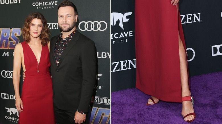 Cobie Smulders Taran Killam