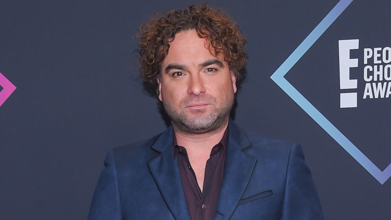 Johnny Galecki on red carpet