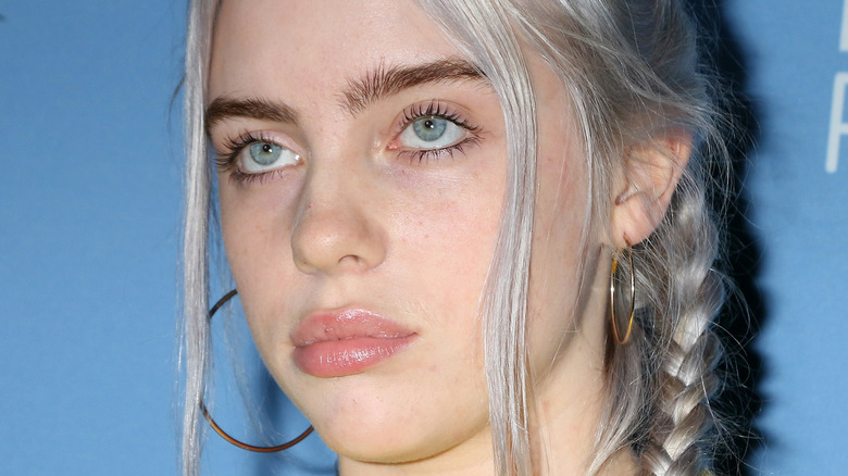 Billie Eilish poses with silver hair in a braid