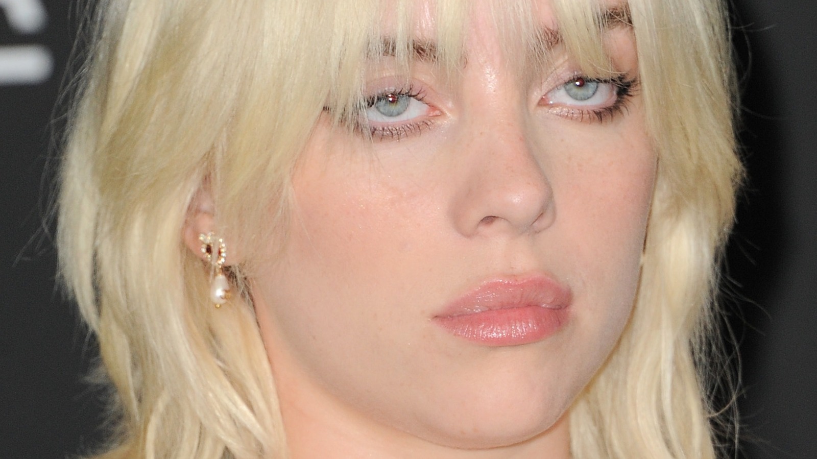 Billie Eilish Stomps Out Social Media Negativity In One Fell Swoop – Nicki Swift